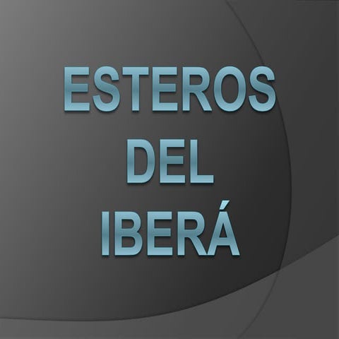 Esteros  del ibera