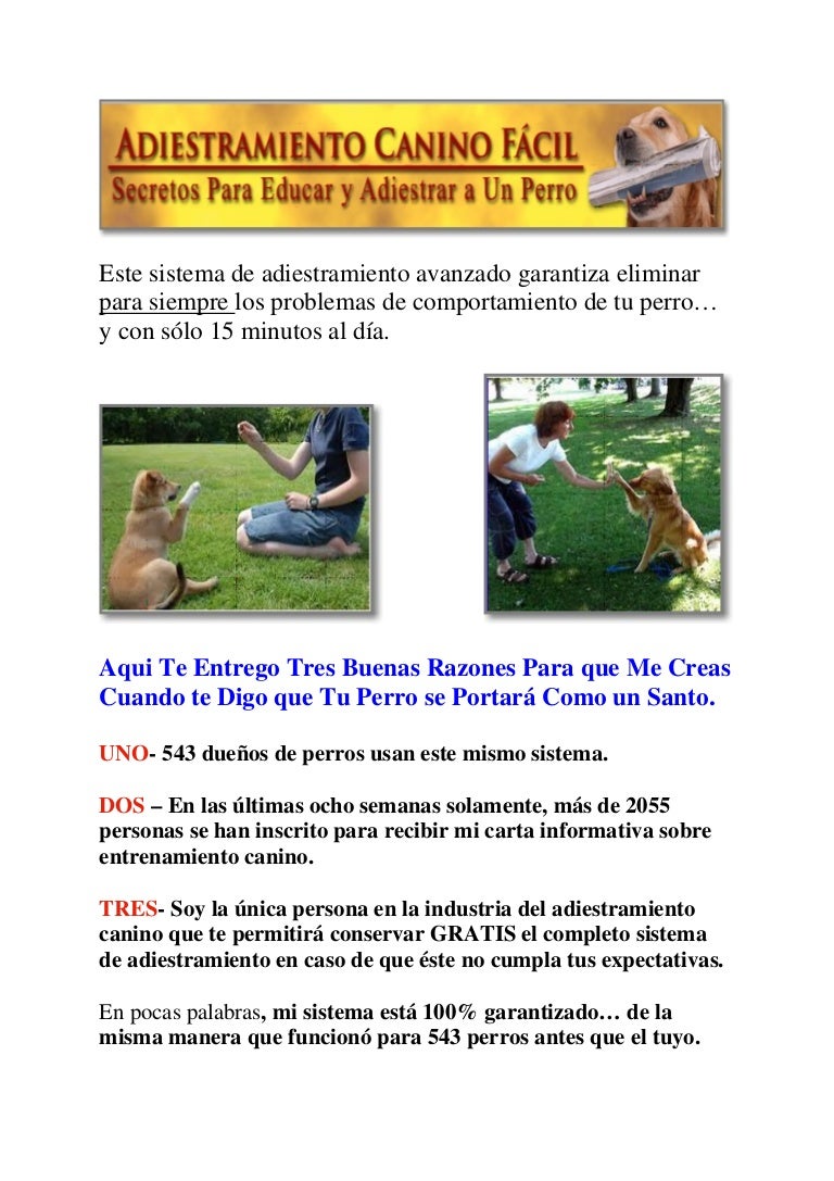 como educar a un perro cachorro como educar a un perro manual ad… como educar a un perro cachorro como educar a un perro manual ad…