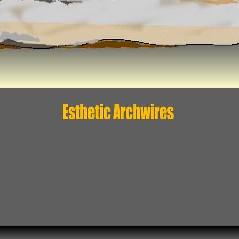 Esthetic archwires