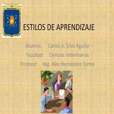 Estilos de aprendizaje
