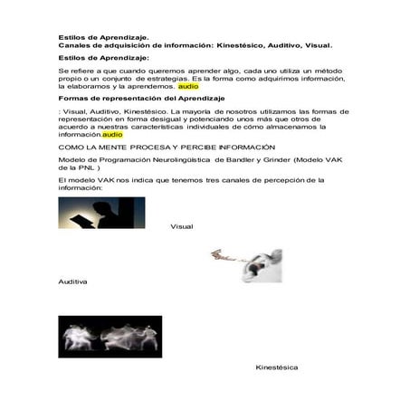 Estilos de aprendizaje.resumen 2