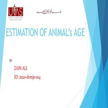 Estimation of animal's age