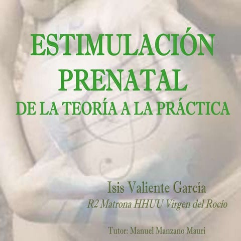 Estimulación prenatal