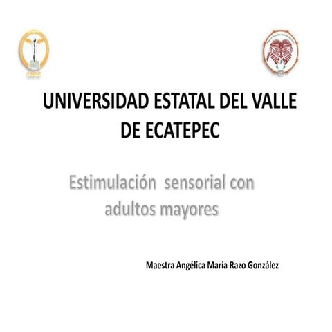 Estimulación sensorial con adultos mayores