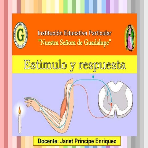 Estímulo y respuesta | PPTX