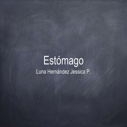 Estómago