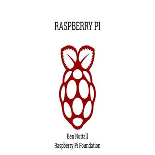 Raspberry Pi for startups - Estonia
