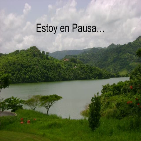 Estoy en pausa