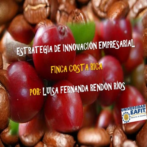 Estrategia de innovacion empresarial