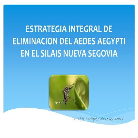 Estrategia integral de eliminacion del aedes aegypti por el Ministerio de Sal...