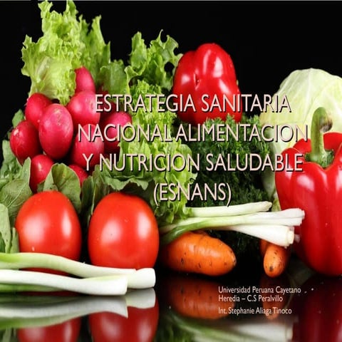 Estrategia sanitaria alimentacion y nutricion saludable   stephanie aliaga
