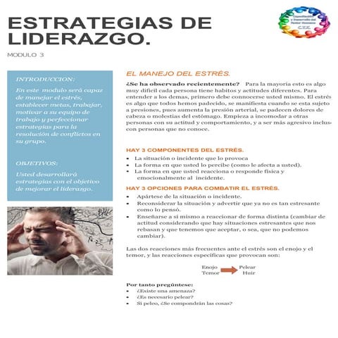 Estrategias de liderazgo en pdf | PDF