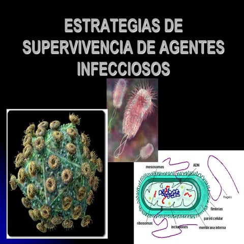 Estrategias de supervivencia de agentes infecciosos