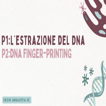 Dna finger printing | PPTX