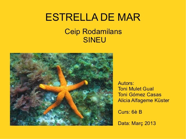 Com Respiren Les Estrelles De Mar