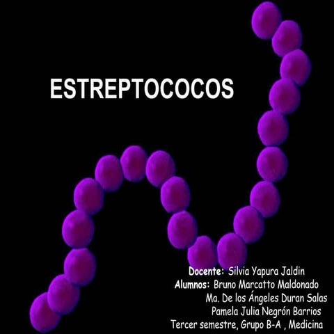 Estreptococos