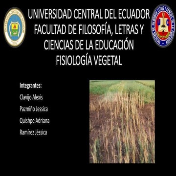 Estrés vegetal por Adriana Quishpe