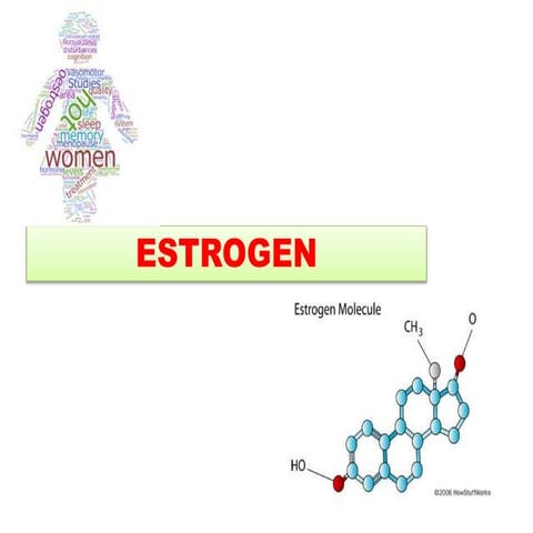 Estrogen