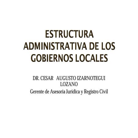 Estructura Administrativa de los Gobiernos Locales | PDF