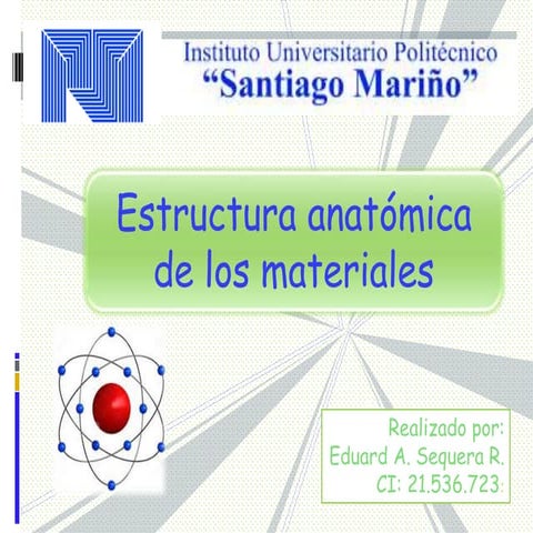 Estructura anatomica alejo