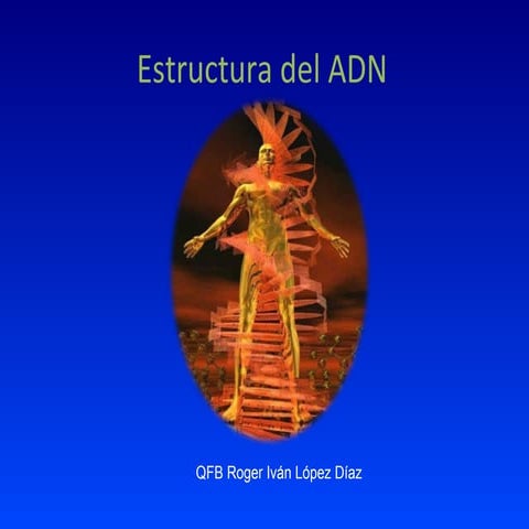 Estructura del ADN