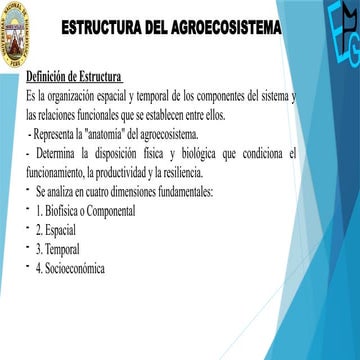 Comprehensive Analysis of Agroecosystem Structure and Functioning for ...