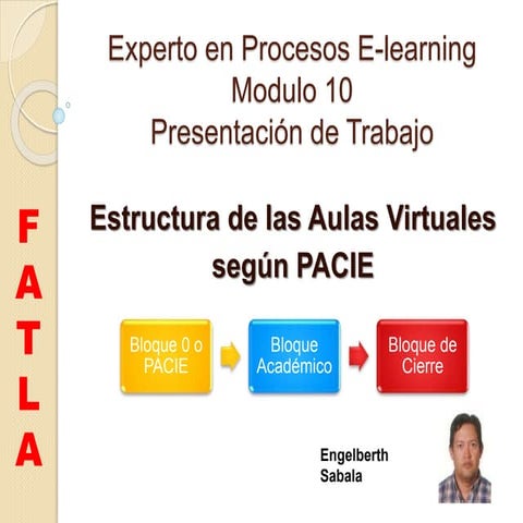 Estructura de las aulas virtuales segun PACIE