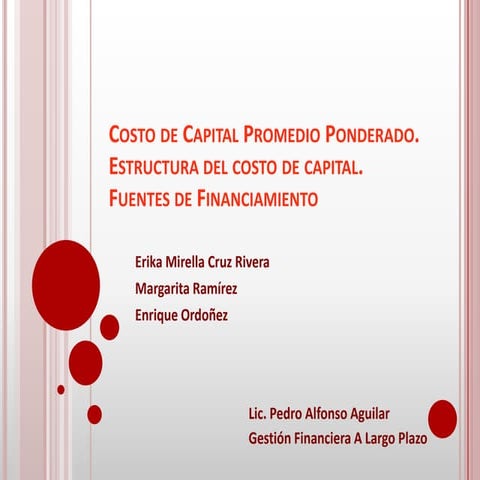 Estructura del capital 1.1