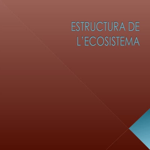 Estructura de l’ecosistema