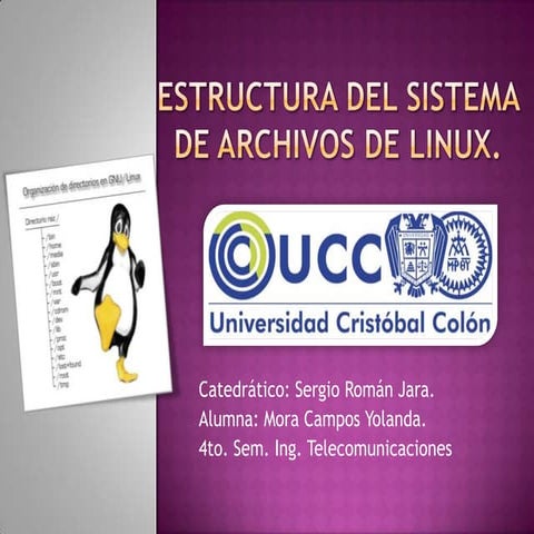 Estructura del sistema de archivos de linux