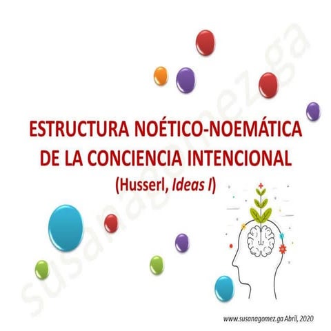 Estructura noético noemática