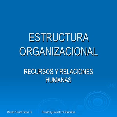 Estructura Organizacional
