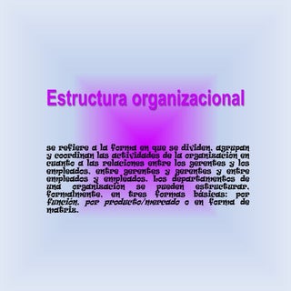 Estructura organizacional