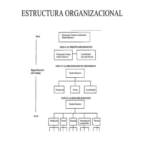 Estructura Organizacional(3)