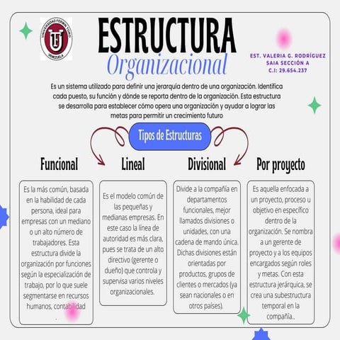 Estructura Organizacional y sus tipos | PDF