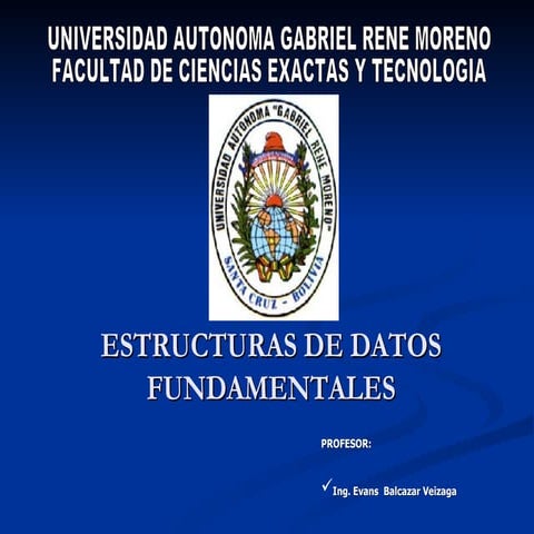 ESTRUCTURAS DE DATOS FUNDAMENTALES