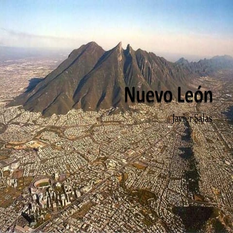 Estructura socioeconomica de mexico nuevo leon