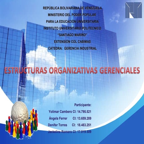 Estructuras organizativas gerenciales