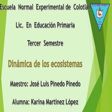 Estructuras troficas