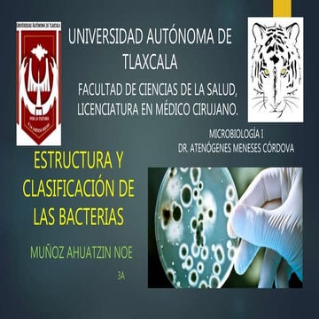 Estructura y Clasificación Bacteriana // Antecedentes históricos // Genética ...