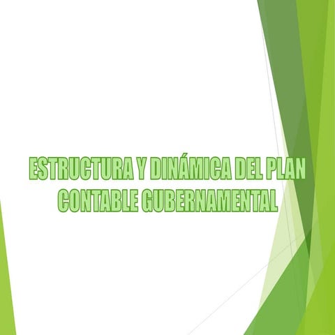 Estructura y dinámica del plan contable gubernamental.pptx