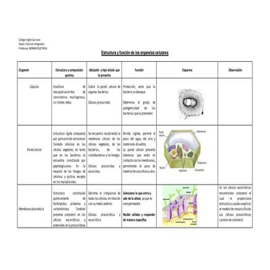 Estructura y función de los organelos celulares 2012
