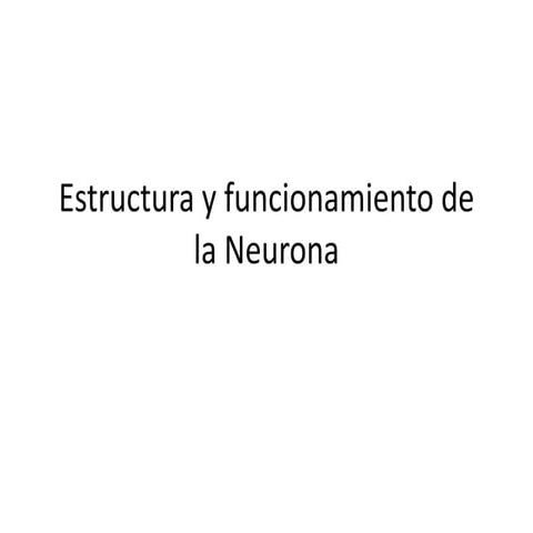 Estructura y funcionamiento de la neurona