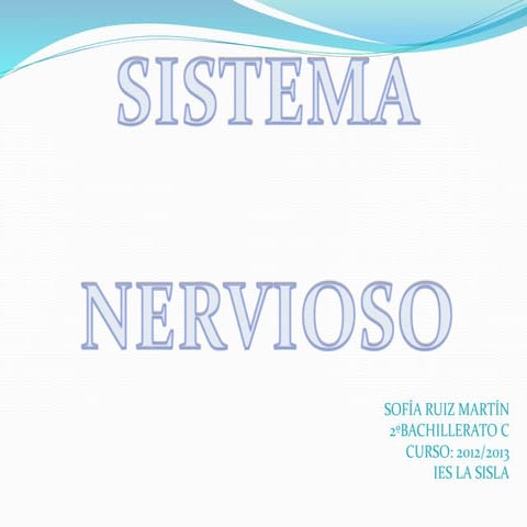 Estructura y funcionamiento del sistema nervioso