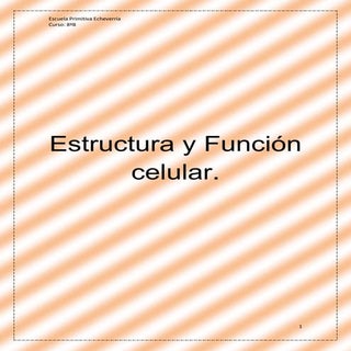 Estructura funcion celular 