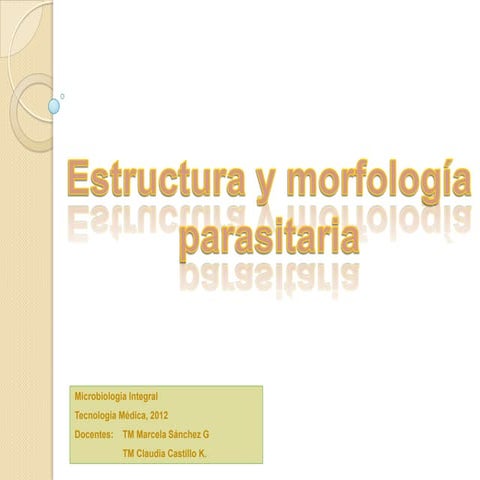 Estructura y morfología  parasitaria integral 2012