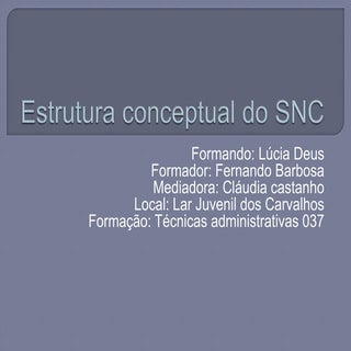 Estrutura conceptual do snc