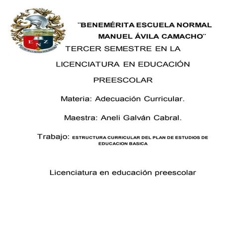Principios pedagogicos que sustentan el plan de estudios 2011 | DOC
