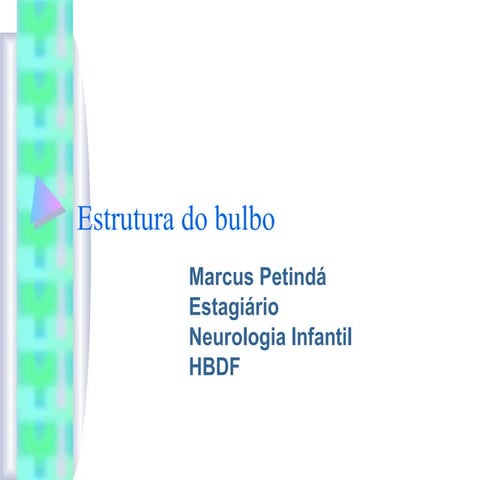 Estrutura do bulbo
