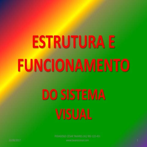 Estrutura do Sistema da Deficiência Visual